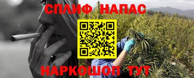 Альфа ПВП Будённовск