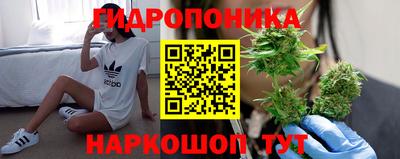 Альфа ПВП Будённовск