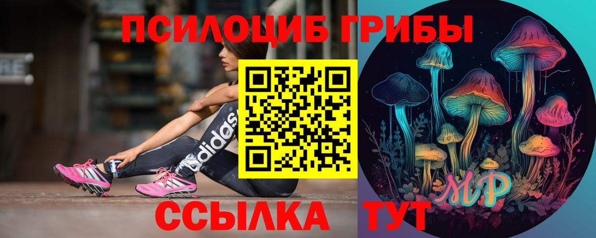 Псилоцибиновые грибы ЛСД Свободный